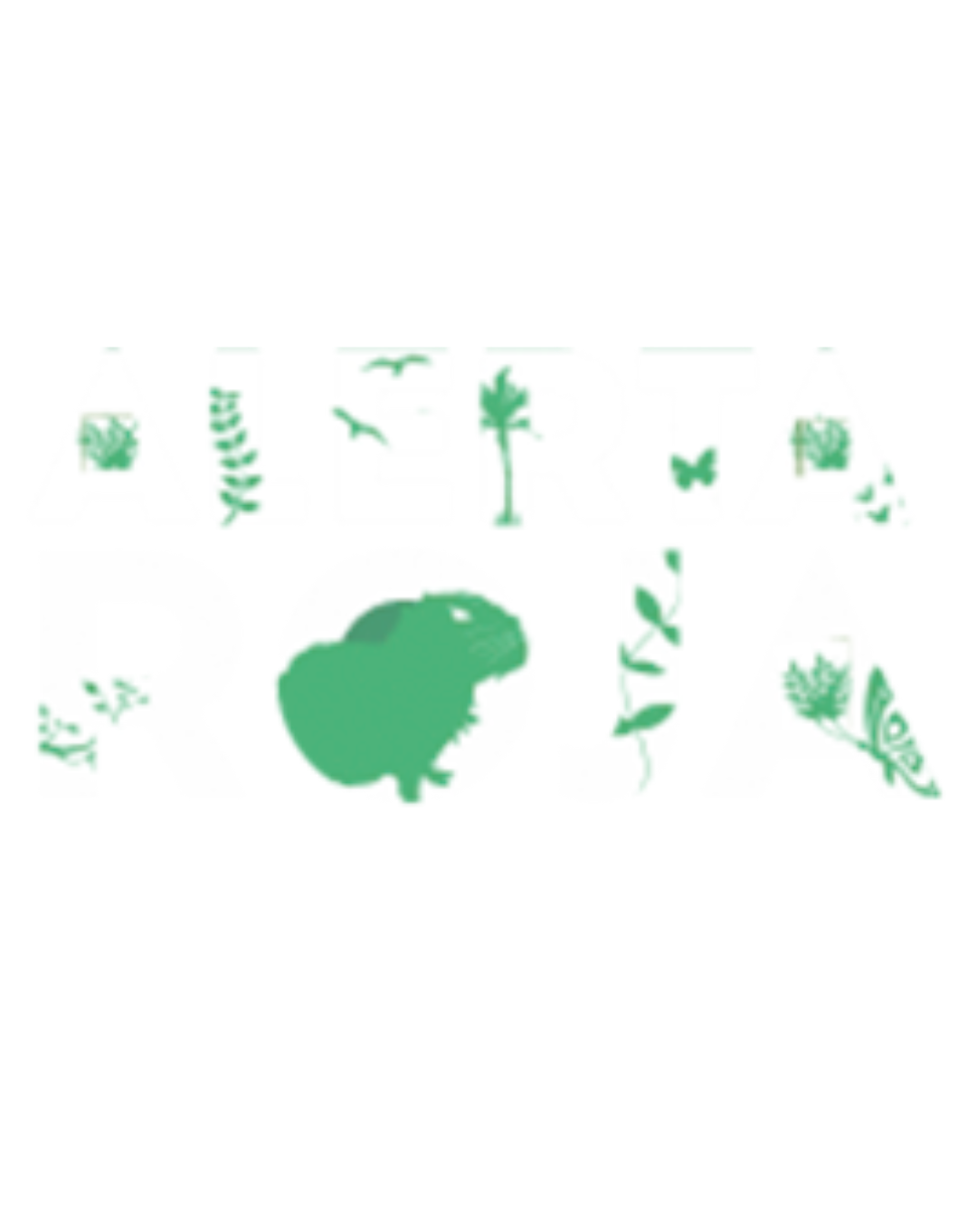 Alerta Roja